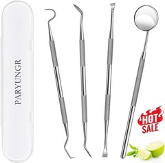 4 Pcs Dental Tools Professional Dental Picks for Teeth Cleaning Plaque Remover