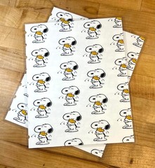 Snoopy & Woodstock Love Hug Cover Set 4 use with the Classic Happy Planner-