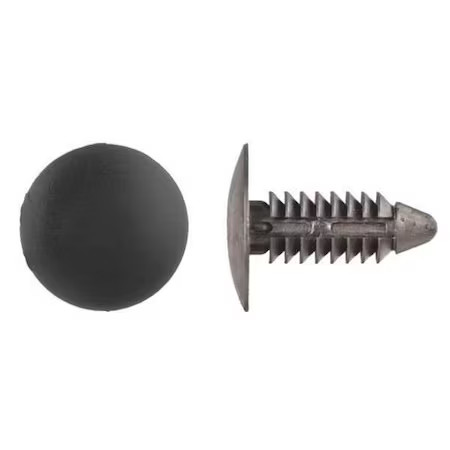 Zoro Select 5625Pk Push-In Rivet, Dome Head, 1/4 In Dia., 13/16 In L, Nylon