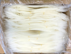 500 Clear Stand-Up Pouches 24 oz Poly Bags Food Storage Packaging 40x32x25 NEW