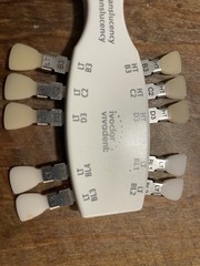 CEREC IPS EMPRESS CAD High & Low Translucency Shade Guide – Complete