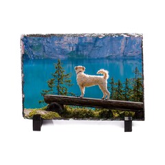 15pcs 7.87″ x 11.8″ Sublimation Photo Slate Rock Plaque Blanks w/ Display Holder