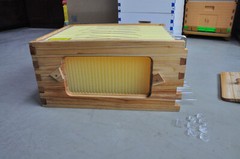 7pcs BPA free Plastic Beekeeping Frames + 1 Auto Shed Honey Beehives Super Boxes