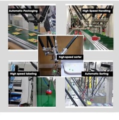 1.2Kg Load Palletizing Delta Robot Arm High Speed Sorter Palletizer Pick & Place