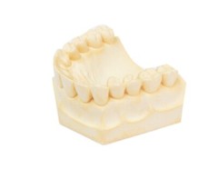 Yeso Piedra Amarillo Tipo III Para Todo Tipo de Uso Dental 5 Libras