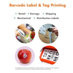 4″x6″ Direct Thermal Shipping Labels 1000/Roll, 3″ core, 4 Rolls /box For Zebra