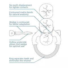 Dental Matrix Bands Ring Sectional Matrice Clamp Fit Garrison Palodent V3 System