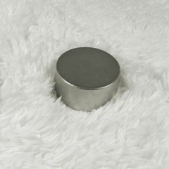 2Pack N52 Large Neodymium Rare Earth Magnet Big Super Strong 40mm*20mm