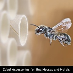 Mason Bee Nesting Tube Refill Kit 6″ Replacement Paper & Cardboard Tubes 60 Sets