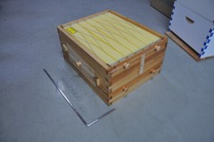 7pcs BPA free Plastic Beekeeping Frames + 1 Auto Shed Honey Beehives Super Boxes