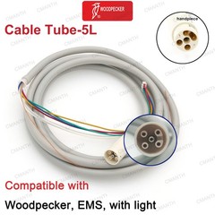 Woodpecker DTE Dental Ultrasonic Scaler Handpiece LED Light Fit EMS NSK SATELEC