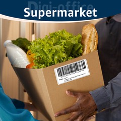 Multipurpose Labels Compatible For Dymo Labelwriter 30336 500/Roll 1” X 2 1/8”