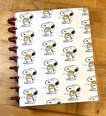 Snoopy & Woodstock Love Hug Cover Set 4 use with the Classic Happy Planner-