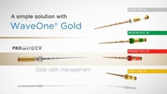 Waveone Gold Small, Primaly, Medium, Large File Dentsply 21mm, 25mm, 31mm 4files