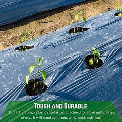 Poly Cover – 10 Mil Black Plastic Sheeting