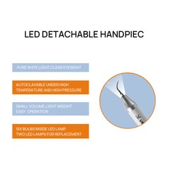 USA Dental Ultrasonic Scaler fit EMS Cavitron + LED Handpiece+Tips+Bottle VRN-A8