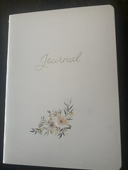 Journal NOTEBOOK – SET of 3 – 64 lined pages per Journals, Diary 8″H x 6″W