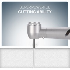 Dental Fiber Optic LED E-generator High Speed Handpiece 4HOLE/2HOLE