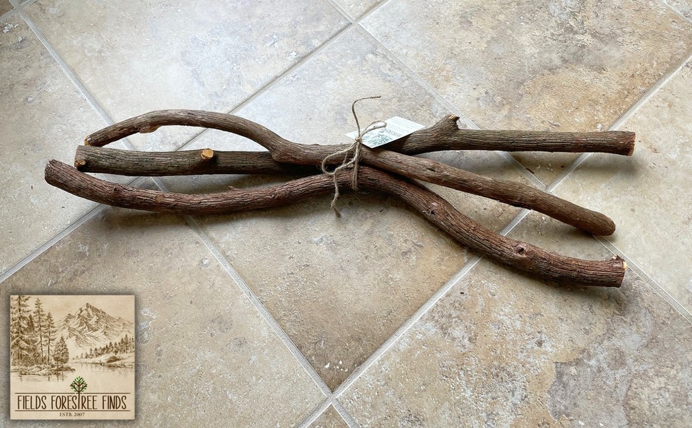 24″ NC Mountain Laurel Decorative Wood for Carving, Crafts, Wedding, Party Decor