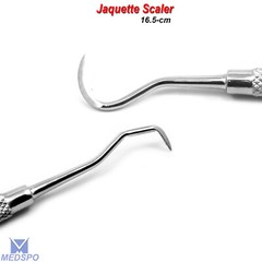 Dental Tooth Cleaning Hygienic Scraper Pick Calculus Plaque Remover Dentist Tool