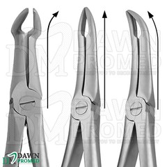 4 Pcs TC Extracting Forceps Root Tip Set Dental Extraction Instruments German Gr