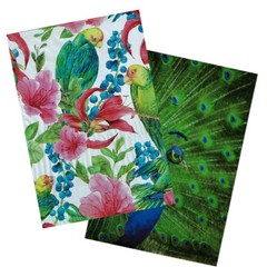 10×13″ Peacock and Parrots Combo Pack, Quality Bird Designer Mailer Shipping Bag