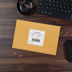 Clasp Envelopes, 6.5 x 9.5 Inch Brown Kraft Catalog Envelopes, for Mailing Sm…