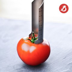 De Buyer Universal Core Concept Manual Corer Red – 1 – Serrated Stainless Steel