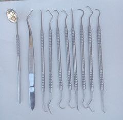 Dental Teeth Cleaning Kit Dentist Floss Plaque Remover Oral Care Tooth Tool 10PS