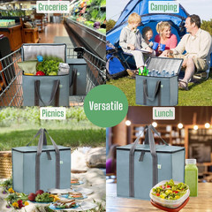 2 Pack Cooler Bag and Insulated Grocery Bags for Food Delivery, Collapsible Cool