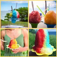 100 PCS Snow Cone Cups Flower Shaped Shaved Ice Cups4 OZ Plastic Snow Cone Bowls