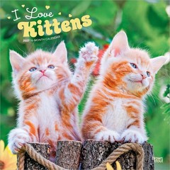 I Love Kittens | 2027 12×24″ (Hanging) Square Wall Calendar | Plastic-Free