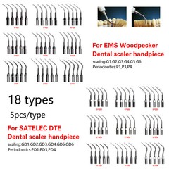 5*Dental Ultrasonic Scaler Tips Fit EMS Woodpecker DTE Handpiece/ Wrench Key ns