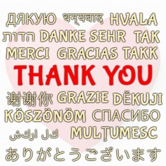 (10x) GLOBAL THANK YOU Stickers 18 Different Languages, International Shipping
