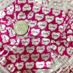 BaggiesSince1987 – 175175 Design Zip Bags 100PCS BUNNY ON PINK 3MIL, READ DETAIL