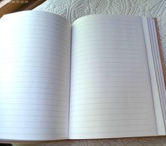 GENUINE LEATHER HANDMADE 144 LINED PAGES INDIA DRAGONFLIES YES TO NEW ADVENTURES