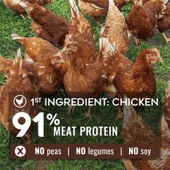 Nature’S Logic Natures Logic Pure Naturals 100 Natural Chicken Recipe