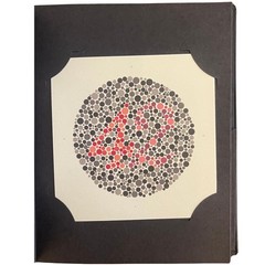 Ishihara Test Chart Books for Color Deficiency 38 Plates with User Manual and…