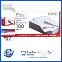 White Security Envelopes 100 Count 6 3/4 inch Gummed Closure for Letters