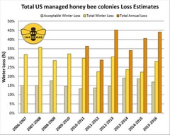 6 pack honeybee lure vials SWARM PRO LURE Bee Swarm Pro Lure #1 In USA