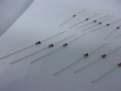 20 Pcs Pack Lot Silicon Planar Zener Diodes 1/2W 0.5W DO-35 Package DIP – 3V