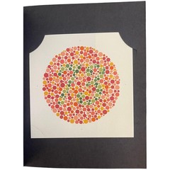 Ishihara Test Chart Books for Color Deficiency 38 Plates with User Manual and…