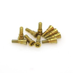 Fits ITI Straumann BL/BLT Dental NC/RC Healing Abutment Caps Cover Screw