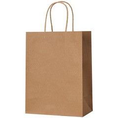METAPRINT Brown Paper Gift Bags with Handles in 1 count (Pack of 100),