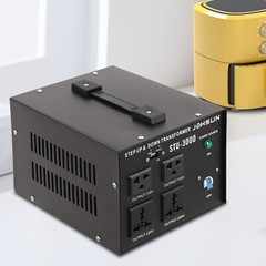 Heavy Duty 3000W Voltage 220V-110V 110V-220V Step Up/ Down Transformer Converter