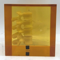 Hologic DPA/QDR-1 Bone Densitometer Anthropomorphic Spine Phantom 030-1967