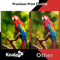 100% Clear Transparency Film for Inkjet Printer 8.5×11 60 Sheets Screen Printing