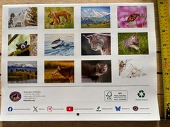 Defenders of Wildlife – 2027 – 18-Month WALL Calendar – Nature Photography!