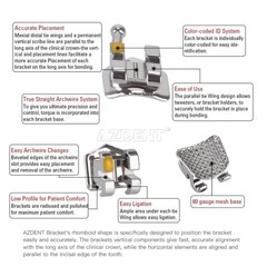 AZDENT Dental Orthodontic Brackets/Niti Arch Wire Round/Rectangular Ovoid/Nature