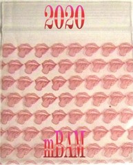 100 PACK BIG MOUTH 1515 Apple Zip MINI Baggies 1.5X1.5″ POLYBAGS